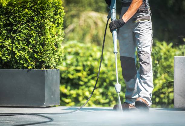 Best Fence Cleaning and Maintenance in Baltimore Highlands, MD